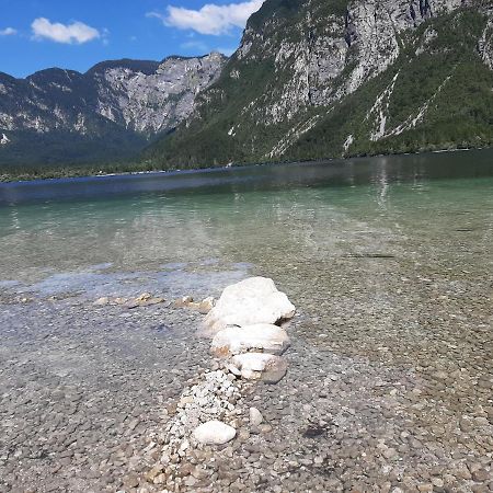 Apartma Bohinj Eksteriør bilde