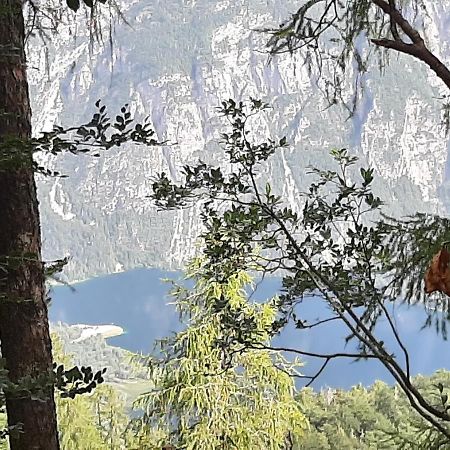 Apartma Bohinj Eksteriør bilde