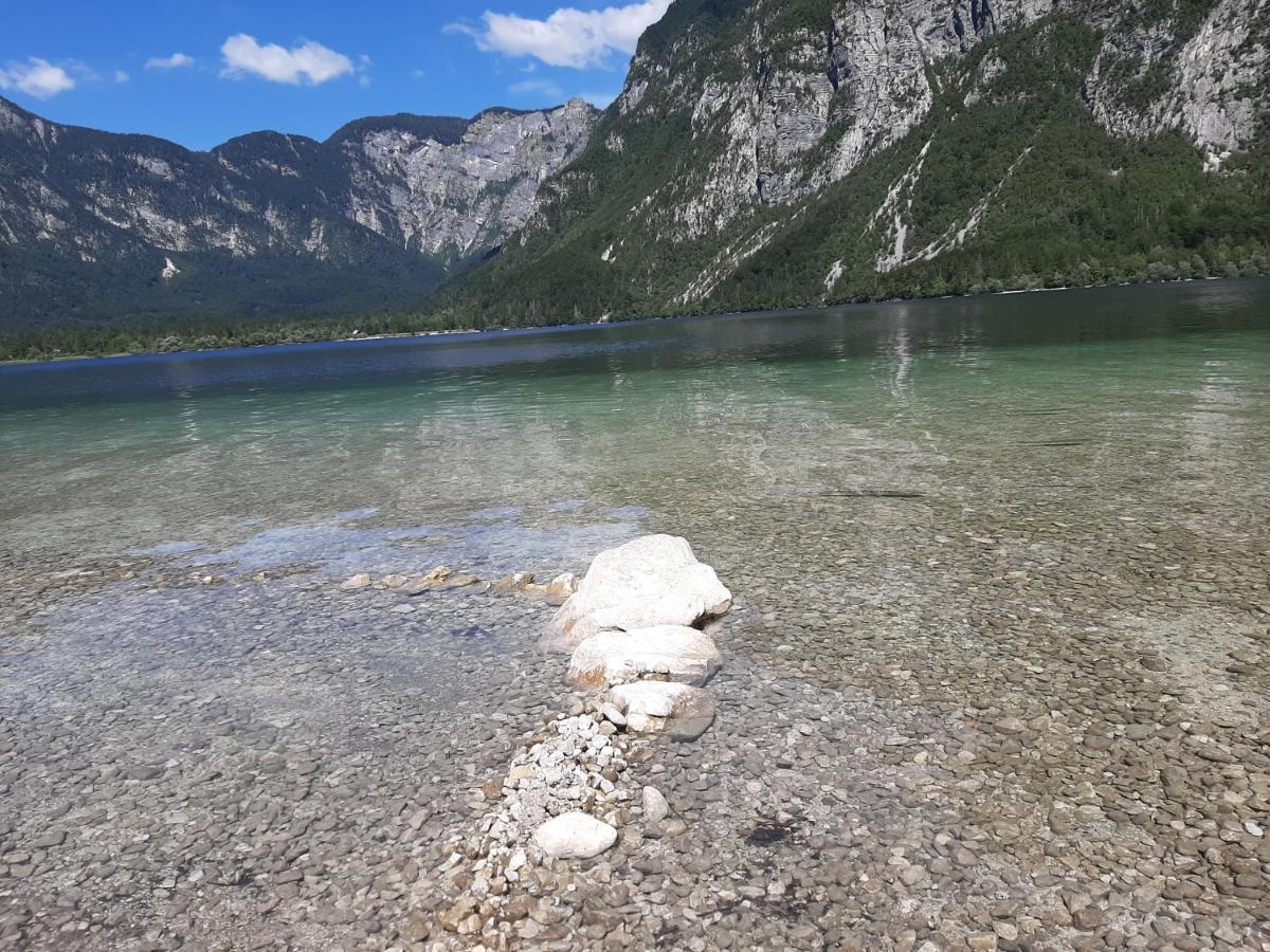 Apartma Bohinj Eksteriør bilde